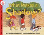 What Makes a Shadow?