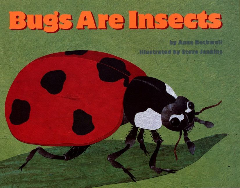 Bugs Are Insects Book Cover