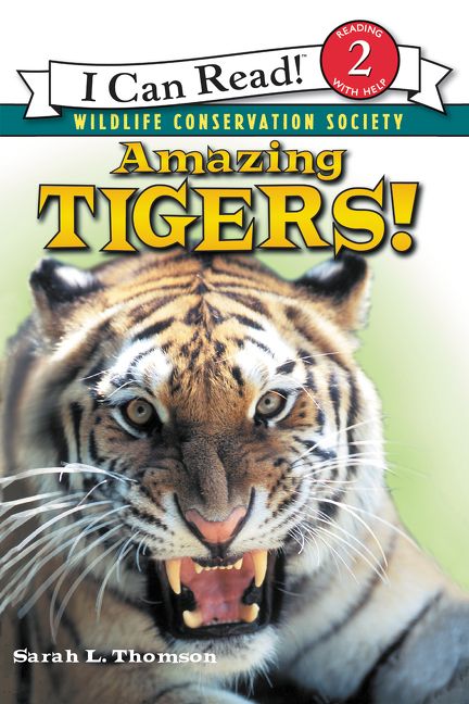 Amazing Tigers! Book Cover