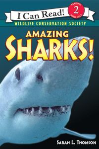 amazing-sharks