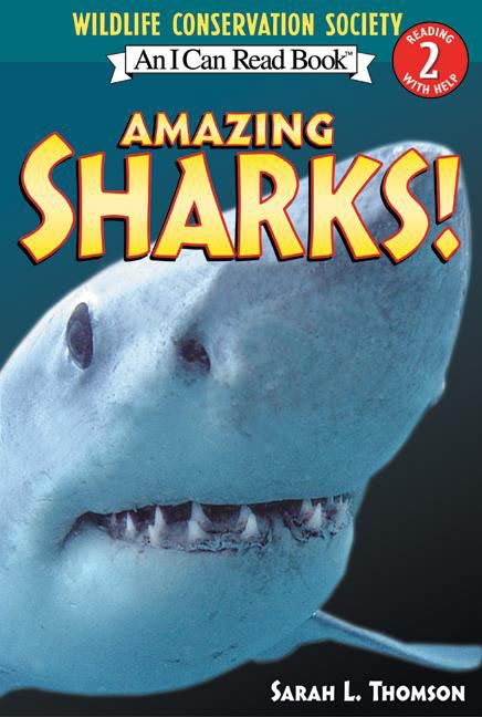 Amazing Sharks! Book Cover