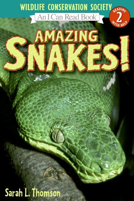 Amazing Snakes! Book Cover