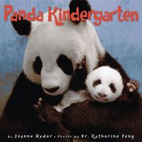 panda-kindergarten