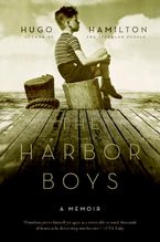 The Harbor Boys Paperback  by Hugo Hamilton