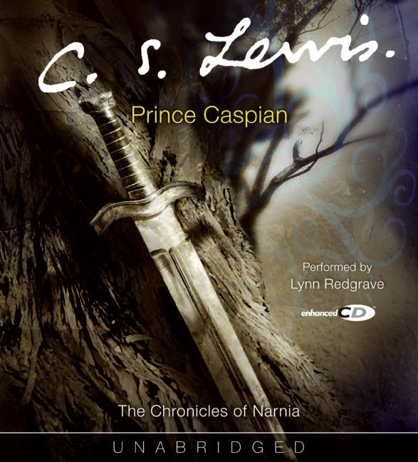 Prince Caspian Adult