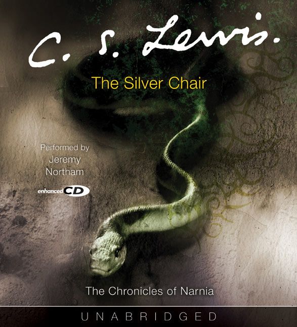 The Silver Chair Adult