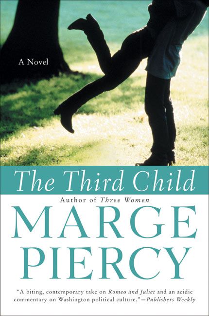The Third Child Book Cover
