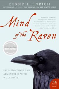mind-of-the-raven