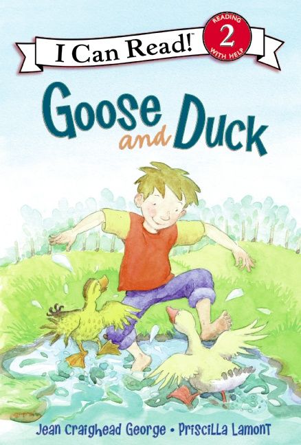 Goose and Duck Book Cover