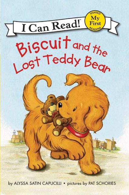 the lost teddy bear story