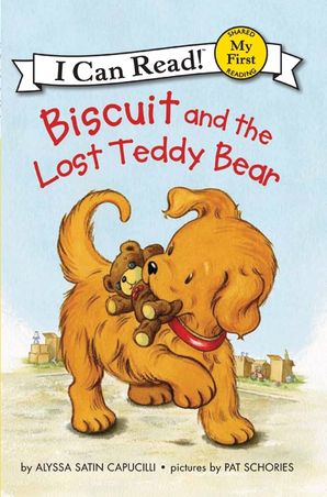 the lost teddy bear story