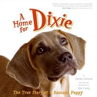 a-home-for-dixie