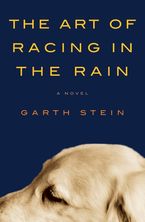 The Art of Racing in the Rain Hardcover  by Garth Stein