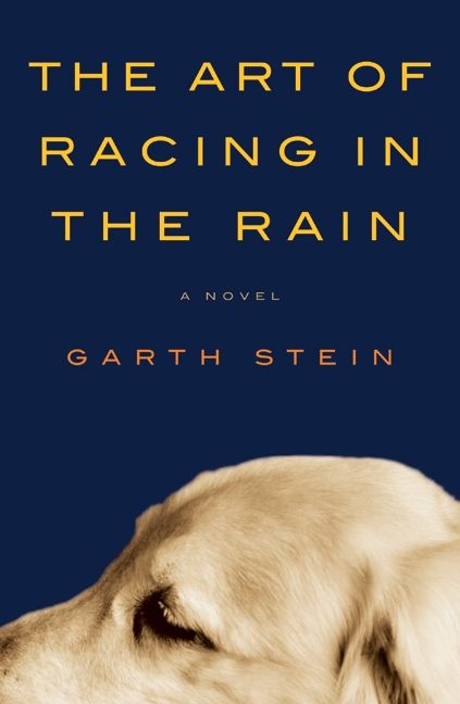 Image result for the art of racing in the rain book cover