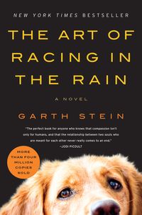 the-art-of-racing-in-the-rain