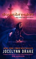 Dawnbreaker Paperback  by Jocelynn Drake