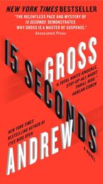 15 Seconds Paperback  by Andrew Gross