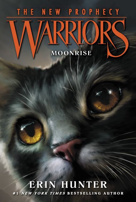 Warriors The New Prophecy 2 Moonrise Erin Hunter E Book