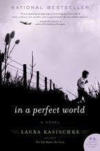 In a Perfect World Paperback  by Laura Kasischke