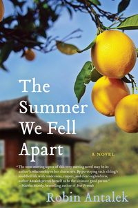 the-summer-we-fell-apart