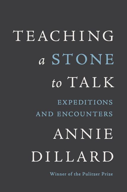 Teaching a Stone to Talk Book Cover