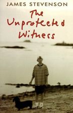 The Unprotected Witness eBook  by James Stevenson