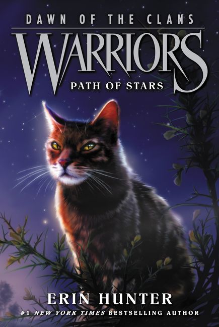 Warriors Cats: Omen of the Stars 6 Book Collection by Erin 