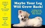 Maybe Your Leg Will Grow Back! Paperback  by Amanda McCall