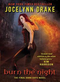 burn-the-night