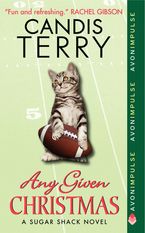 Any Given Christmas Paperback  by Candis Terry
