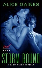 Storm Bound eBook  by Alice Gaines