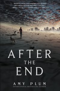after-the-end
