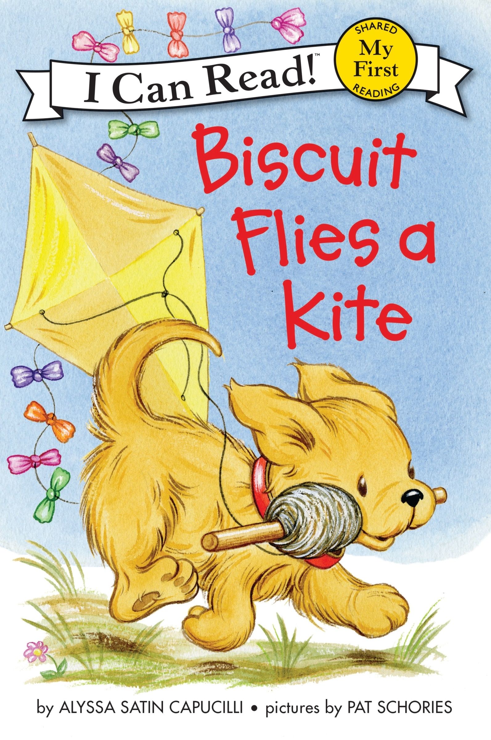 biscuit-flies-a-kite