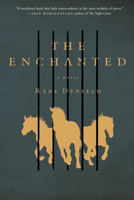 Image result for the enchanted