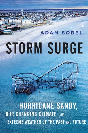 Book cover image: Storm Surge: Hurricane Sandy, Our Changing Climate, and Extreme Weather of the Past and Future