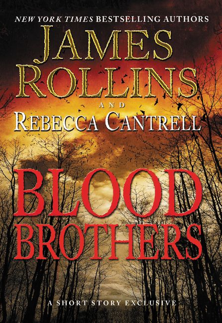 Blood Brothers James Rollins E Book