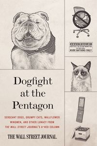 dogfight-at-the-pentagon