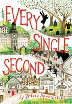 Every Single Second Hardcover  by Tricia Springstubb
