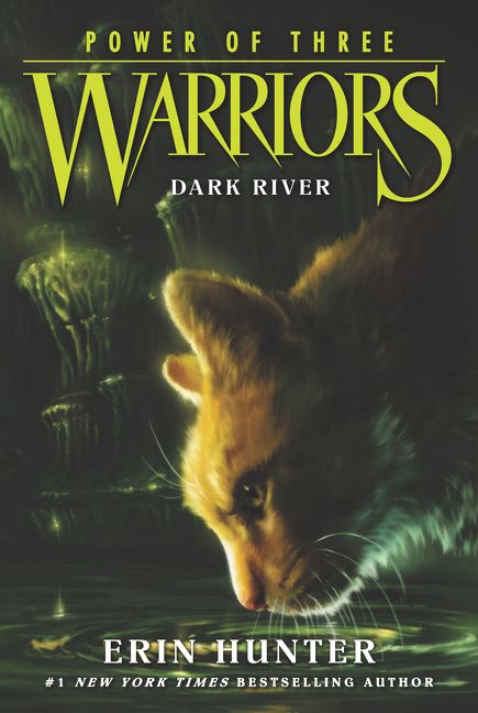 Warriors a vision of shadows river of fire pdf