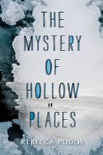 The Mystery of Hollow Places Hardcover  by Rebecca Podos