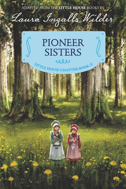 6 сестер книга. Книга сестры. Little sister книги английские. The Pioneers book Cover. Sisters House epub.