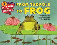 from-tadpole-to-frog
