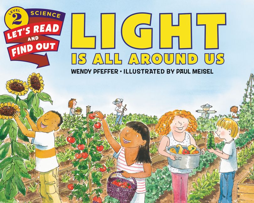 Light Is All Around Us Wendy Pfeffer Paperback