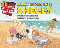 what-lives-in-a-shell
