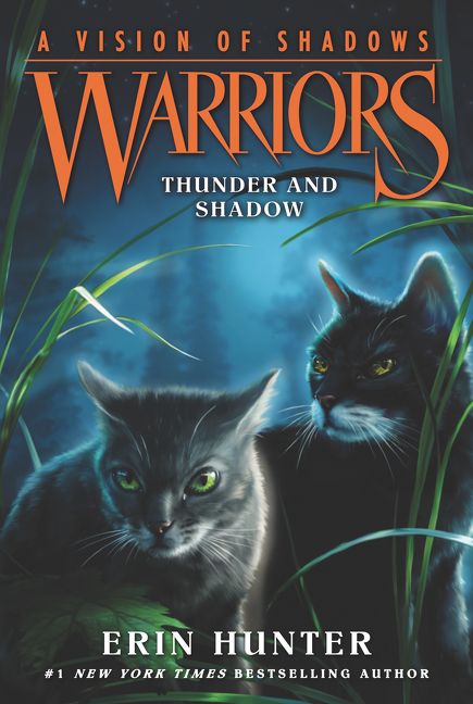 Warriors: A Vision of Shadows #2: Thunder and Shadow, Children's, Paperback, Erin Hunter