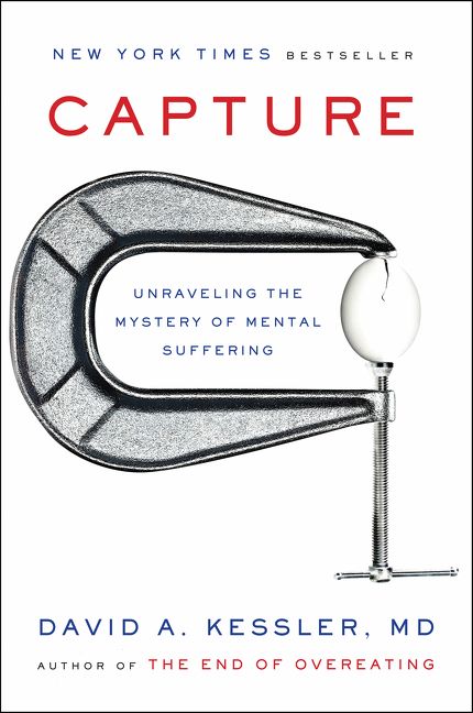 Book cover image: Capture: Unraveling the Mystery of Mental Suffering | New York Times Bestseller