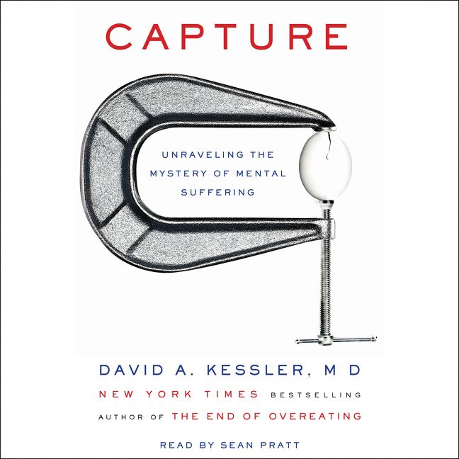 Book cover image: Capture: Unraveling the Mystery of Mental Suffering | New York Times Bestseller