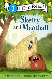 sketty-and-meatball