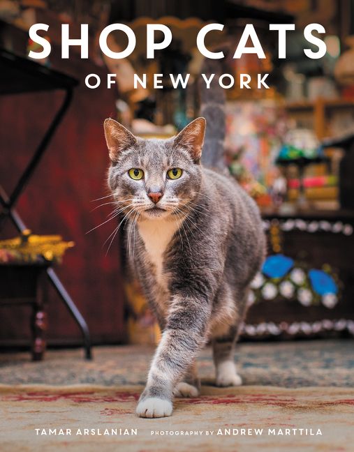 Shop Cats Of New York Tamar Arslanian Hardcover