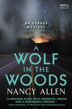 A Wolf in the Woods Paperback  by Nancy Allen